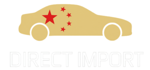 logo-direct-import_i